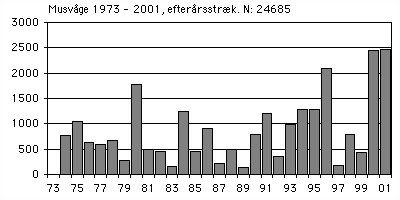 Musvåge