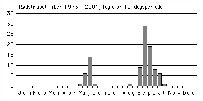 Rødstrubet Piber