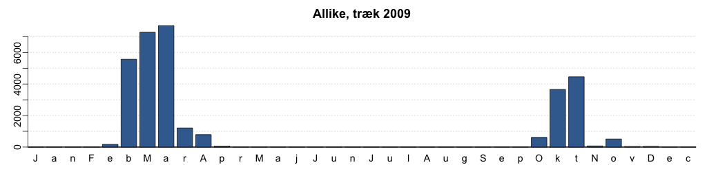  Allike, træk 2009
